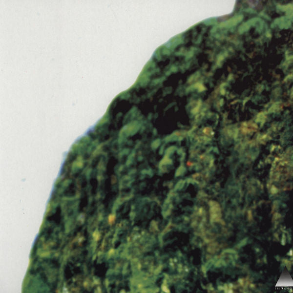 Image of Back Cover of 4324296E: 12" EP - CLAMS CASINO, Rainforest (Tri Angle ; TRIANGLE 06, UK & US 2011, Picture Sleeve)   VG+/VG