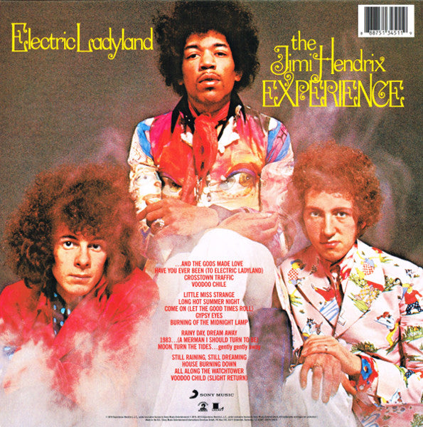 Image of Back Cover of 2xLP - NEW/NEW - THE JIMI HENDRIX EXPERIENCE, Electric Ladyland (Experience Hendrix; 88875134511, Europe 2015 Reissue, Gatefold, Booklet), ,  - 6016053C