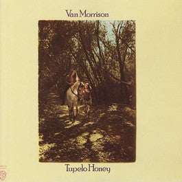 Image of Front Cover of LP - VG/VG - VAN MORRISON, Tupelo Honey (Warner Bros. Records Tan Brick Labels; K 46114, UK Reissue, Gatefold, Manufactured In The UK), Sleeve a bit worn. ,  - 2216373C