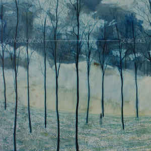 Image of Front Cover of LP - VG+/EX - CAMERA OBSCURA, Desire Lines (4AD; CAD3314, UK 2013, Gatefold, Inner), ,  - 3426087E