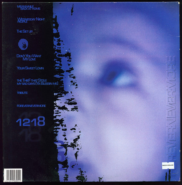 Image of Back Cover of 2xLP - VG/VG+ - MOODYMANN, Forevernevermore (Peacefrog Records; PF 095, UK 2000, Gatefold), Light wear and tear to sleeve.,  - 0716035C