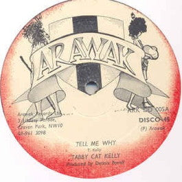 Image of Front Cover of 12" - /G+ - TABBY CAT KELLY , Don't Call Us Immigrants / Tell Me Why (Arawak; ARK DD 005, UK 1979, Plain Sleeve), Light Marks only.,  - 2116260C