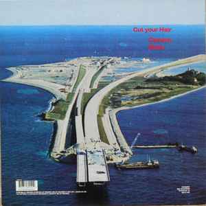 Image of Back Cover of 12" - VG/G+ - PAVEMENT, Cut Your Hair (Big Cat; ABB55T, UK 1994, Picture Sleeve), Light marks only.,  - 1216201C