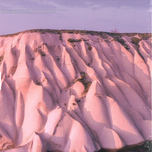 Image of Back Cover of 2xLP - NEW/NEW - AUTECHRE, Amber (Warp; 0801061802516, UK 2016 Reissue, Download Code), ,  - 2136067E
