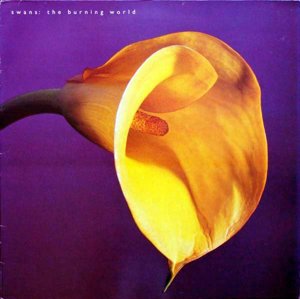 Image of Front Cover of LP - VG/G+ - SWANS, The Burning World (MCA; MCG 6047, UK 1989, Inner), Edge Wear,  - 2946115S