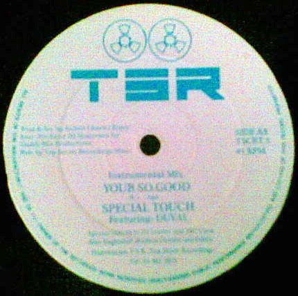Image of Front Cover of 12" - /G+ - SPECIAL TOUCH / GOLD IN THE SHADE, Your So Good / Shining Through (TSR; TSCRT 3, UK 1991), Light marks only, plays VG., Super obscure midtempo 808 driven UK soul track, with intrumental on the flip. - 3546303S