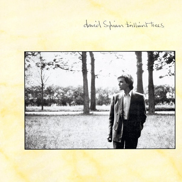 Image of Front Cover of LP - VG/VG - DAVID SYLVIAN, Brilliant Trees (Virgin; V2290, UK 1984, Inner), Sticker Mark,  - 4046243S