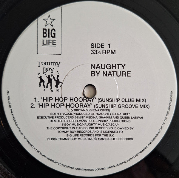 Image of Label Cover of 12" - VG/VG+ - NAUGHTY BY NATURE, Hip Hop Hooray (Big Life; BLRT 89, UK 1992, Picture Sleeve), ,  - 4446031S