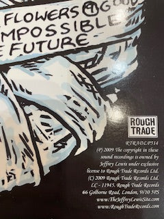 Image of Label Cover of LP - VG+/VG+ - JEFFREY LEWIS AND THE JUNKYARD, Em Are I (Rough Trade; RTRADLP514, UK 2009, Insert), ,  - 2916074C