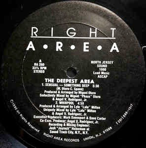 Image of Front Cover of 12" - /VG+ - VARIOUS, The Deepest Area EP (Right Area; RA 260, US 1990), Couple hairline marks only,  - 2546188S