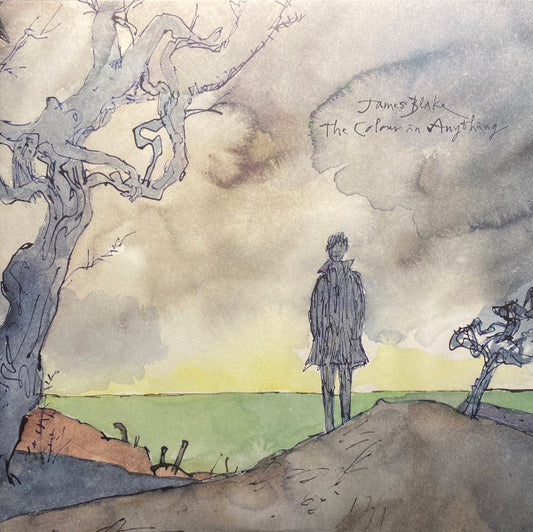 Image of Front Cover of 2xLP - VG+/VG+ - JAMES BLAKE, The Colour in Anything (Polydor; 00602547933331 , Europe 2016, Gatefold, 2 Inners), A handful of light hairlines but otherwise great copy,  - 2926315E