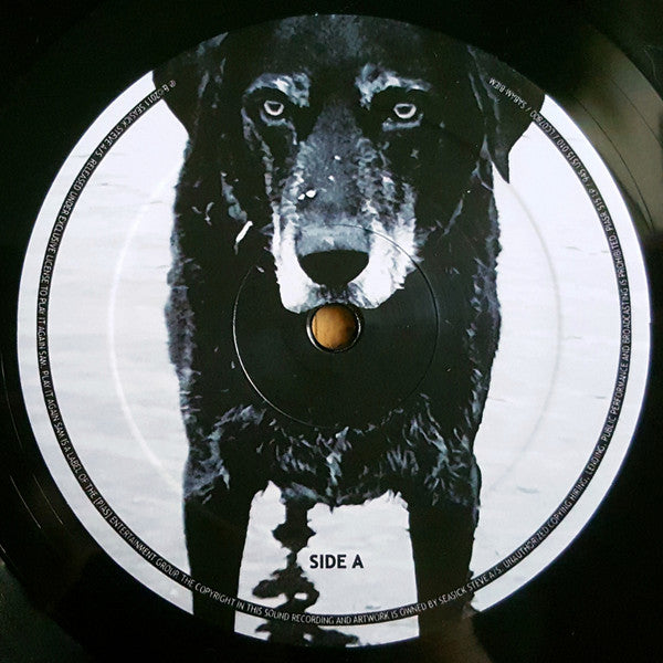 Image of Label Cover of LP - VG+/EX - SEASICK STEVE, You Can't Teach an Old Dog New Tricks (PIAS; PAISR 515 LP, Europe 2011, Inner), ,  - 2426127E