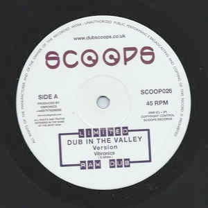 Image of Front Cover of 10" - VG+/VG+ - VIBRONICS, Dub In The Valley / History Dub (Scoops; SCOOP026, UK 2009, Company Sleeve), ,  - 2546116S