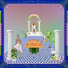 Image of Front Cover of 2xLP - NEW/NEW - JONATHAN WILSON, Rare Birds (Bella Union; BELLA730VX, UK 2018, Gatefold, 2 Inners & Booket, 6 Stickers, Gold Vinyl), ,  - 1636159E