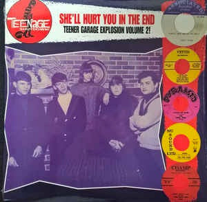 Image of Front Cover of LP - VG+/VG+ - VARIOUS, She'll Hurt You In The End (Teenage Shutdown; LPTS6608, US 1998, Insert), ,  - 0826024E