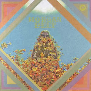 Image of Front Cover of LP - VG+/VG - MORGAN DELT, Morgan Delt (Trouble In Mind; TIM064, US 2014), A few hairline marks. ,  - 2416408C