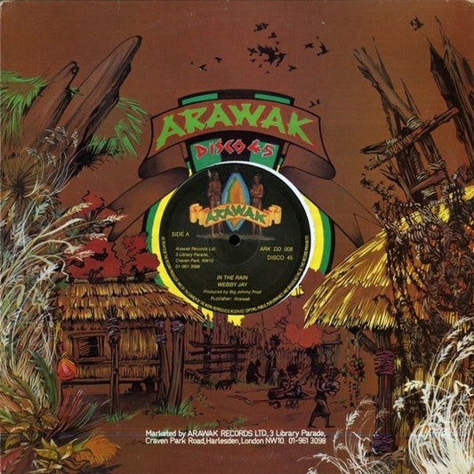Image of Front Cover of 12" - G+/G+ - WEBBY JAY, In The Rain (Arawak; ARK DD 008, UK 1979, Company Sleeve), Plays through fine. WOC.,  - 3426135E