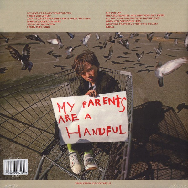 Image of Back Cover of LP - VG+/VG+ - MORRISSEY, Low In High School (; 538337891, Europe 2017, Gatefold, Inner, Green Vinyl), ,  - 3416548C