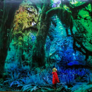 Image of Front Cover of LP - VG/VG+ - JACCO GARDNER, Cabinet Of Curiosities (Trouble In Mind; TIM047, US 2013, Insert), ,  - 3826090E