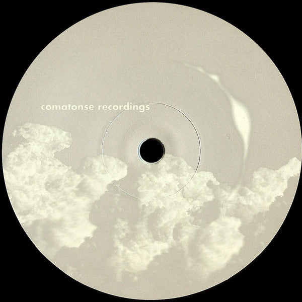 Image of Back Cover of 12" - /VG - DJ SPRINKLES AND MARK FELL, Fresh Insights EP 1 (Comatose Recordings; C 023, Japan 2015, Plain Sleeve), Strong VG, Beautiful and deep music from the mighty DJ Sprinkles... Rare and sought after 12" - 2826280E