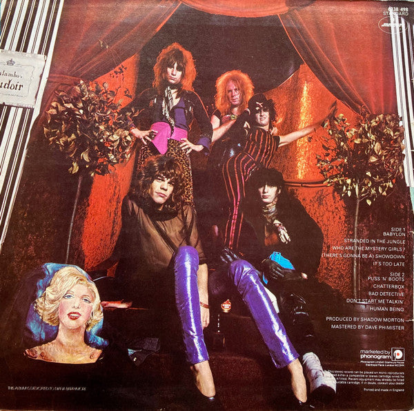 Image of Back Cover of LP - VG+/VG+ - NEW YORK DOLLS, Too Much Too Soon (Mercury; 6338 498, UK 1974, Laminated Sleeve, Stereo), ,  - 2846198S