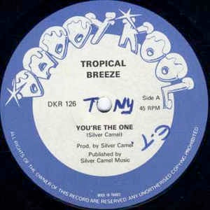 Image of Front Cover of 12" - G+/VG - TROPICAL BREEZE, You're The One (Daddy Kool; DKR 126, UK 1981, Company Sleeve), Some light marks either side of disc, none that affect play. Sleeve has some edge wear, creasing and writing on the cover,  - 3746314S