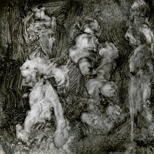 Image of Front Cover of LP - VG+/VG+ - MARK LANEGAN & DUKE GARWOOD, With Animals (Heavenly; HVNLP151, UK 2018, Inner, 180g), ,  - 3216041C