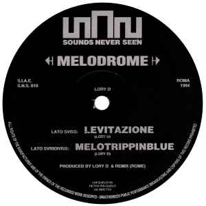 Image of Label Cover of 12" - VG/VG - LORY D, Melodrome (Sounds Never Seen; S.N.S. 010, Italy 1994, Picture Sleeve), light marks only. light wear to sleeve ,  - 4346354S