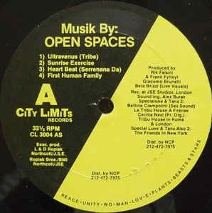 Image of Front Cover of 12" - VG+/VG+ - OPEN SPACE, Musik By: Open Spaces (City Limits; CL 3004, US 1990, Company Sleeve), ,  - 2346347S