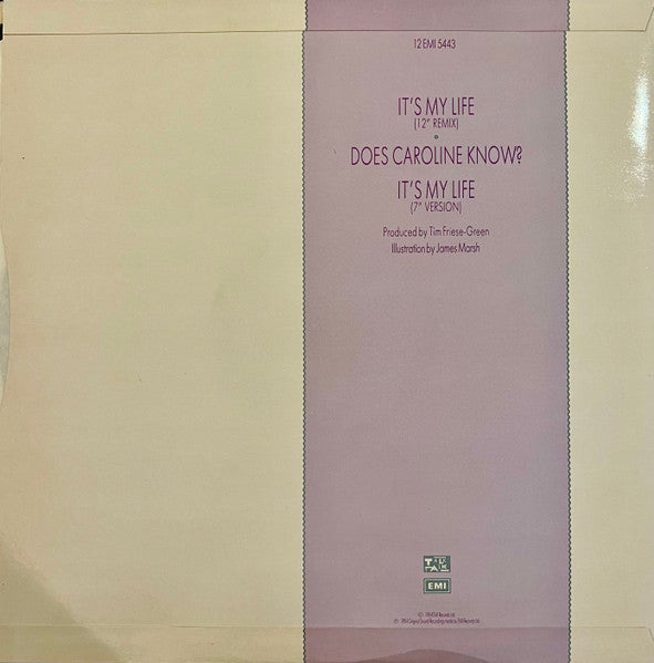 Image of Back Cover of 12" - VG/VG - TALK TALK, It's My Life (EMI; 12EMI 5443, UK 1984, Illustration credit printed on back of sleeve), Hairlines, light cover wear,  - 4246360S