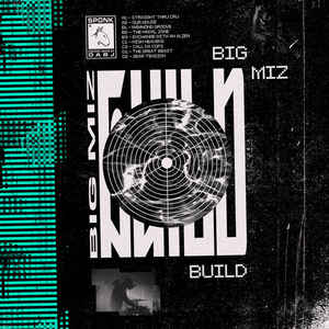 Image of Front Cover of 2xLP - G/G+ - BIG MIZ, Build/Destroy (Dixon Avenue Basement Jams; DABJ-LP-001, UK 2018, Picture Sleeve), Water Damage To Sleeve - all in tact though, ACID HOUSE - 3126347E