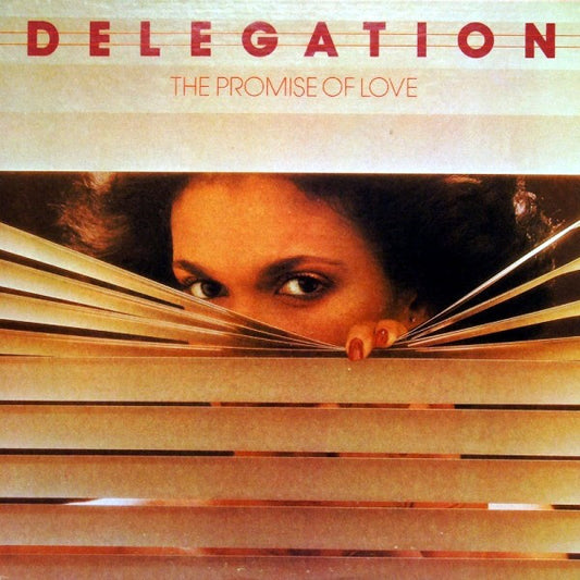 Image of Front Cover of LP - VG/VG - DELEGATION, The Promise Of Love (Shadybrook Records; SB-010, State Records (3)    SB 010, US 1977, Santa Maria Pressing), Edge and Ring Wear,  - 3046260S