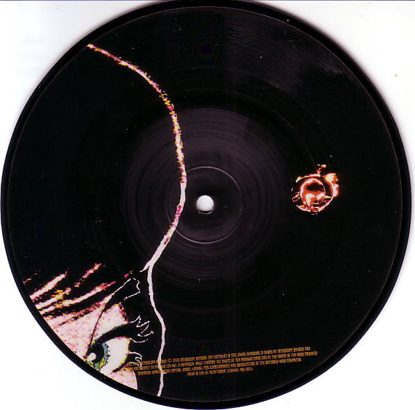 Image of Label Cover of 7" - VG/G+ - QUEENS OF THE STONE AGE, Little Sister (Interscope Records; 988 067-1, UK & Europe 2005, Stickered Plastic Sleeve, Picture Disc), Vinyl has lots of light marks.,  - 4216033C