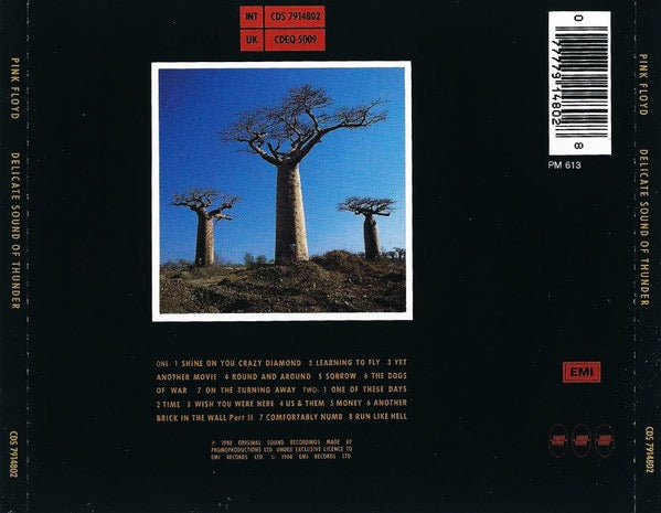 Image of Back Cover of 2xCD - VG+/VG+ - PINK FLOYD, Delicate Sound Of Thunder (EMI; CDEQ 5009, Europe 2009 Reissue, Fatbox Double Case, Booklet), ,  - 2816019C
