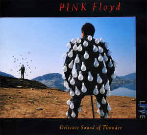 Image of Front Cover of 2xCD - VG+/VG+ - PINK FLOYD, Delicate Sound Of Thunder (EMI; CDEQ 5009, Europe 2009 Reissue, Fatbox Double Case, Booklet), ,  - 2816019C