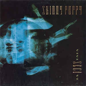 Image of Front Cover of LP - VG/VG - SKINNY PUPPY, VIVISectVI (Capitol Records; 064-7 91040 1, Europe 1988, Inner), ,  - 2126073E