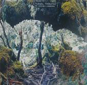 Image of Front Cover of LP - VG+/VG+ - ETERNAL TAPESTRY, The Invisible Landscape (Not Not Fun Records; NNF165, US 2009, Insert, Random Coloured Vinyl, Ltd to 500), Grey marble vinyl,  - 1246191S