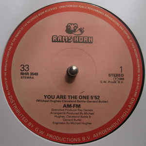 Image of Front Cover of 12" - VG/VG - AM-FM, You Are The One (Rams Horn Records; RHR 3549, Netherlands 1986, Die Cut Company Sleeve), Light marks only,  - 4316811C
