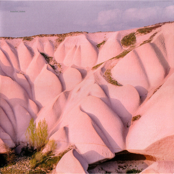 Image of Front Cover of 2xLP - VG+/VG+ - AUTECHRE, Amber (Warp Records; WARPLP25R, UK 2016 Reissue, Gatefold), ,  - 3146028S