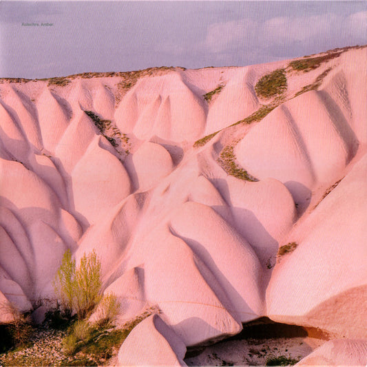 Image of Front Cover of 2xLP - VG+/VG+ - AUTECHRE, Amber (Warp Records; WARPLP25R, UK 2016 Reissue, Gatefold), ,  - 3146028S
