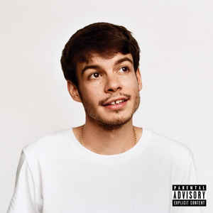 Image of Front Cover of LP - NEW/NEW - REX ORANGE COUNTY, Pony (Sony Music Entertainment; 19075-98666-1, Europe 2019, Plastic Outer Sleeve, Inner & Insert, Download Code), ,  - 1536311E