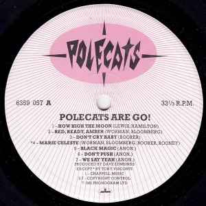 Image of Label Cover of LP - VG/VG+ - POLECATS, Polecats Are Go! (Mercury; 6359 057, UK 1981, Inner), ,  - 4316174C