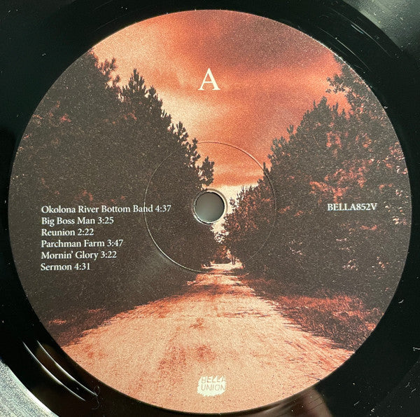 Image of Label Cover of 5124158E: LP - MERCURY REV, Bobbie Gentry's The Delta Sweete Revisited (Bella Union; BELLA852V, Europe 2019, Inner, Limited Edition, 180g)   VG+/VG+