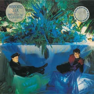 Image of Front Cover of LP - VG/VG - THE ASSOCIATES, Sulk (Associates; ASCL 1, UK 1982, A5 / B4), ,  - 2226426E