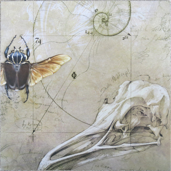 Image of Back Cover of 2xLP - VG+/VG+ - SIMON RICHMOND AND JOHN METCALFE, Set In Stone (ECC100; 008, UK & Europe 2016, Gatefold, 2 Die Cut Inners & Insert, Bonus USB stick), ,  - 2046025S