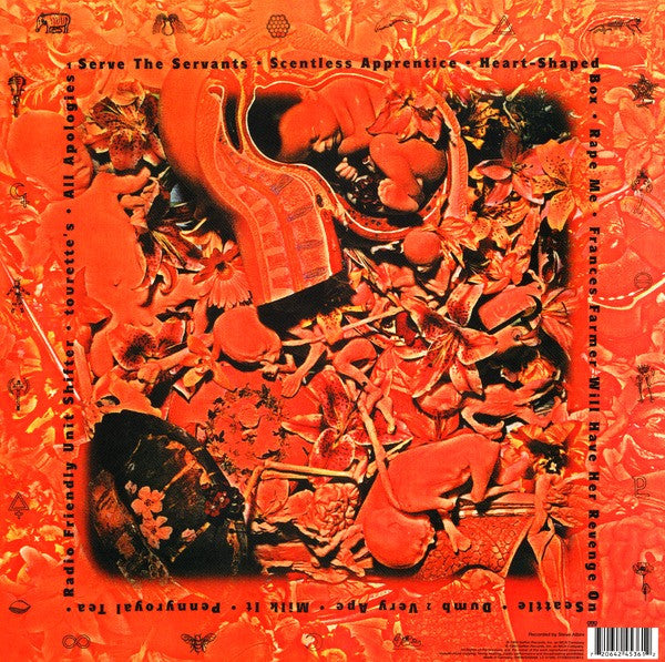 Image of Back Cover of LP - EX/VG+ - NIRVANA, In Utero (Geffen Records; 0720642453612, Europe 2015 Reissue, Inner, 180 Gram Vinyl), ,  - 2126048E