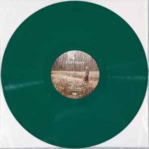 Image of Label Cover of 2xLP - NEW/NEW - TAYLOR SWIFT, Evermore (Republic Records  ; 3565127, US 2021, Gatefold, 2 Inners, Opaque Green Vinyl), ,  - 1416433C