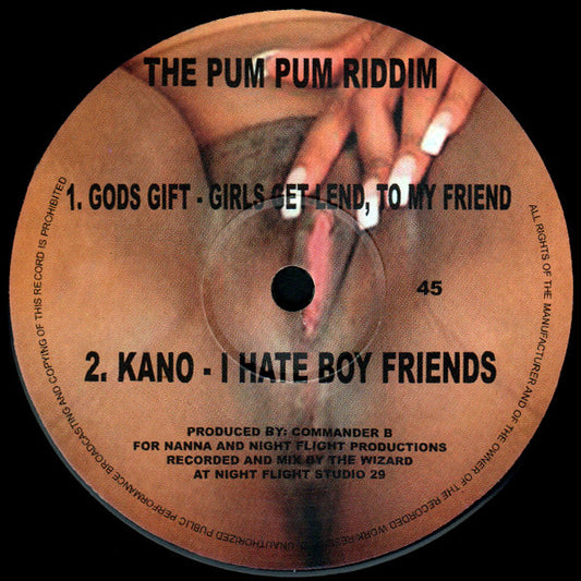 Image of Front Cover of 12" - /VG+ - VARIOUS, The Pum Pum Riddim Vol.2 (Not On Label ; PP002, UK 2003, Plain sleeve), , A1 - Gods Gift   Girls Get Lend, To My FriendA2 - Kano   I Hate BoyfriendsB1 - More Fire   BreastsB2 - Nasty Feat. L Man   Different Girls - 0646238S
