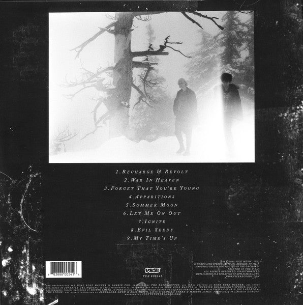 Image of Back Cover of 5024305E: LP - THE RAVEONETTES, Raven In The Grave (Vice Records ; VCA 80024-1, US 2011) Strong VG+  VG+/VG+