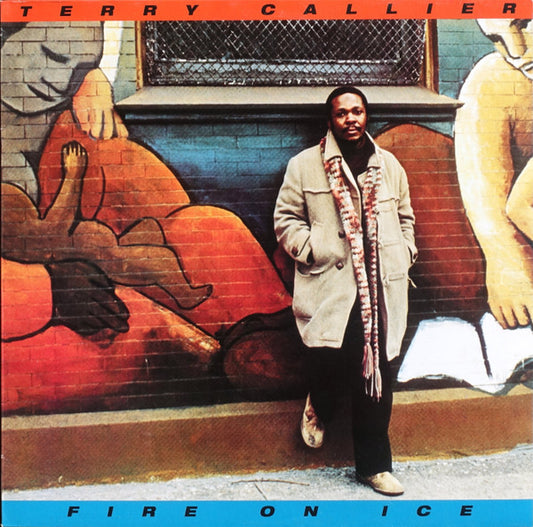 Image of Front Cover of 4825300E: LP - TERRY CALLIER, Fire On Ice (Elektra ; 7559 62604 1, Europe 2011)   VG+/EX